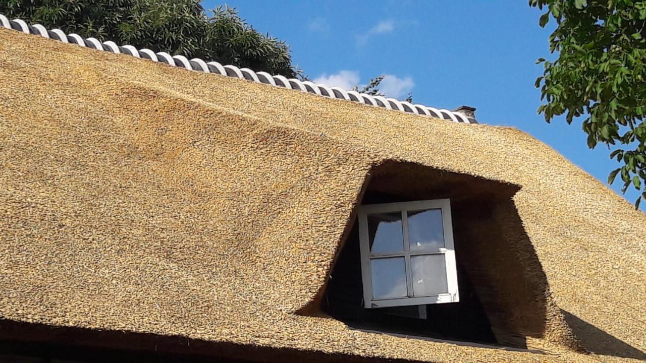 Farmer'S Suite Prinsenbeek Exterior photo